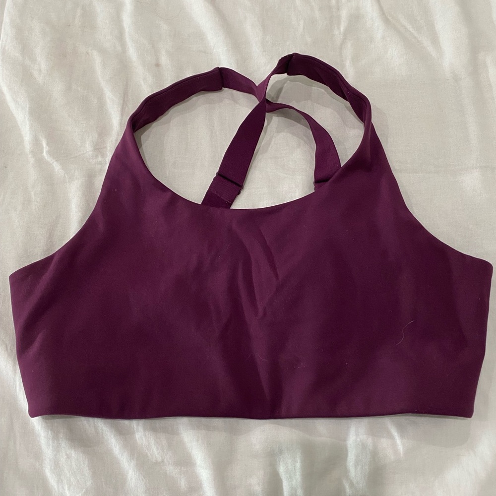 Size Large Girlfriend Collective Simone High Support Bra